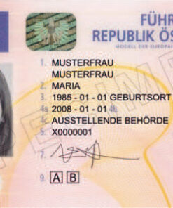 austrian driving license